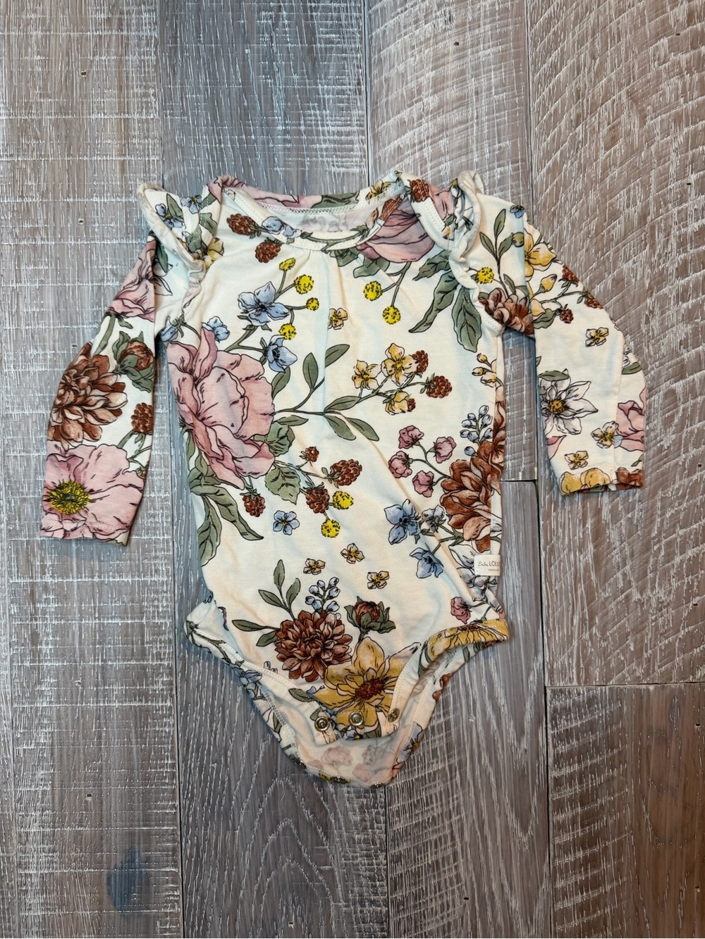 Loulou Lollipop Long-Sleeve Floral One-Piece Bodysuit in Cream and Pink
